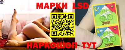 шишки Абинск